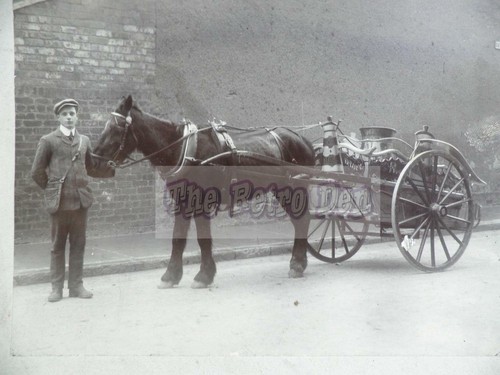 Original photograph dairy - -,