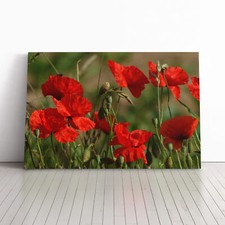 Red Poppy Field Flowers (5)