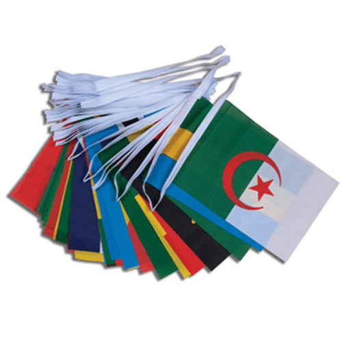 African nations flag bunting - african,