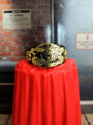 Wwe undisputed championship - undisputed,