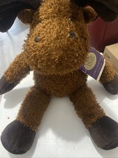 The Bear Necessities Debenhams