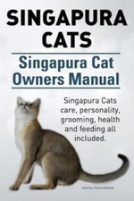 Singapura Cats. Singapura Cat