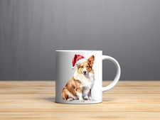 Cardigan welsh corgi dog - welsh,