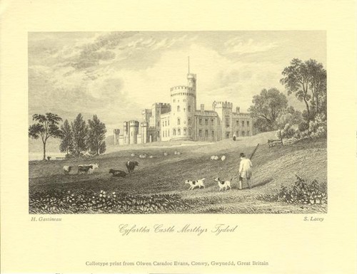 Cyfartha castle merthyr - castle,