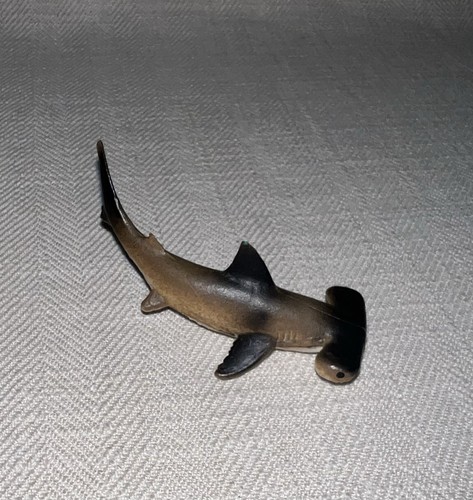 Miniature hammerhead shark - hammerhead,