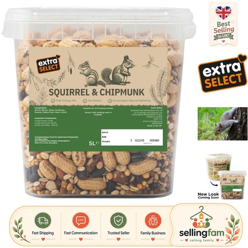 Squirrel chipmunk feed - squirrel, &