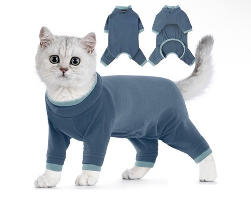 Sphynx cat jumper grooming - sphynx, jumper,