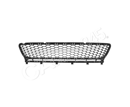 Front bumper grille - front,