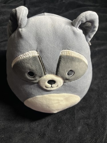 Squishmallow randy the - squishmallow, raccoon
