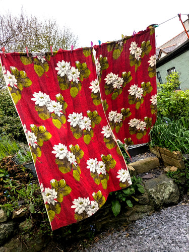 Vtg 1950 curtains - (a10)vtg,