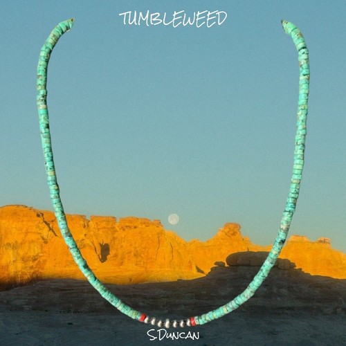 Native american turquoise - american,