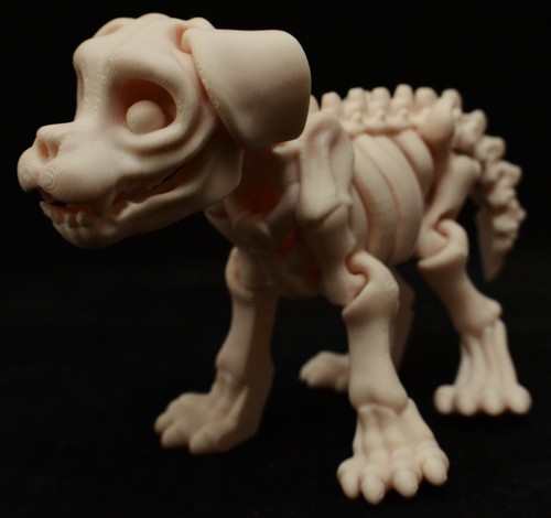 Articulated dog skeleton - dog,