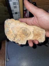 Unusual Flint Hand Tool With