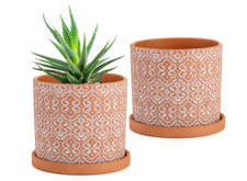 Frcctre 2 Pack Terracotta Pots