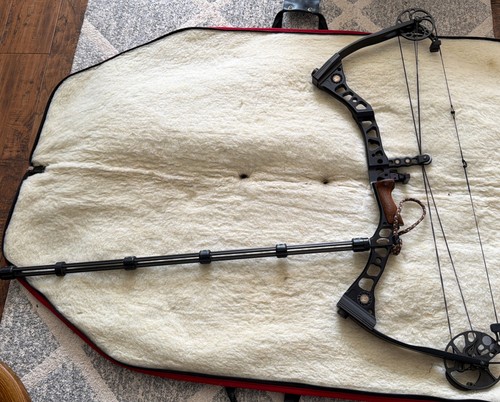 Mathews switchback solocam - switchback,