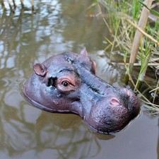 Pond Floating Hippopotamus
