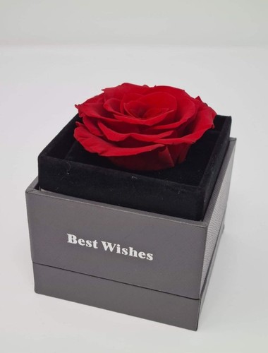 Eternal real flower preserved - eternal,