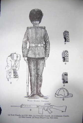 Welsh guards corporal - welsh, military