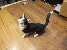 Country Artists standing Cat