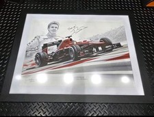 Jules Bianchi SIGNED 2013