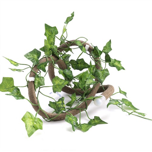 Reptile climbing branch - climbing,