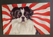 Rare Dog Postcard, The