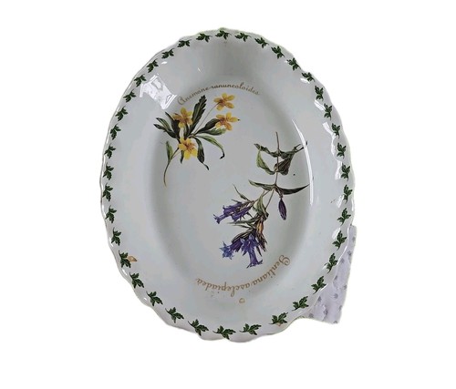 Regal bone china - bone, botanical