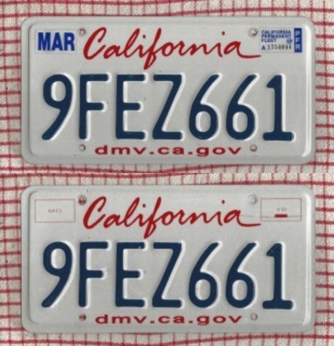 Pair california american - of,