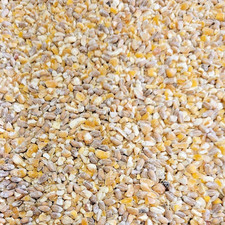 MIXED CORN poultry feed