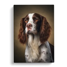 English Springer Spaniel