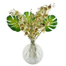 Tropical Orchid Flowers