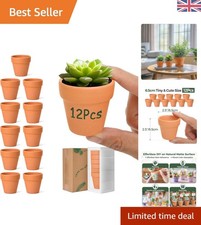6.5cm Terracotta Pots Set of