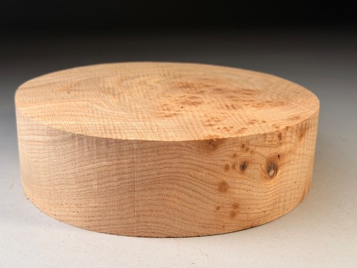 Bowl blanks spalted burr elm - spalted,