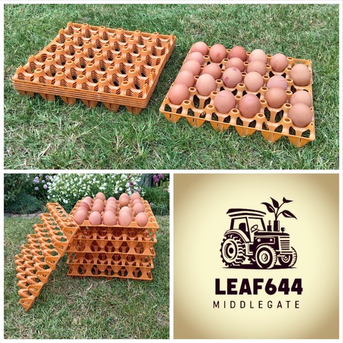 Plastic egg trays - 6x, stacking