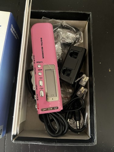 Pink digital voice - pink, recorder
