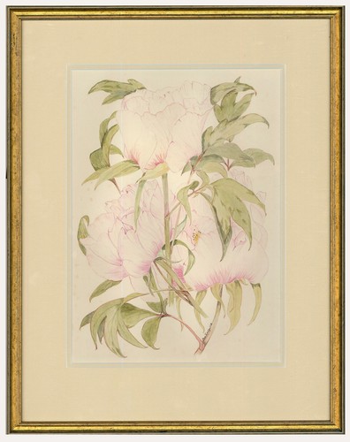 Ann sedgwick framed - framed, 20th