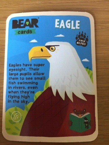 Bear animal card 40 60 - bear,