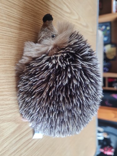 Hedgehog plush 8in uni toys - hedgehog,