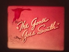 THE GOOSE GOES SOUTH 1941 16MM