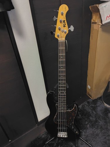Fgn njb10ralv string - fgn, bass