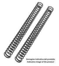 Fork springs kit 9 - springs, k=0,9
