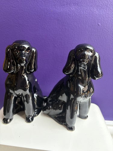 Quail black poodle - quail,