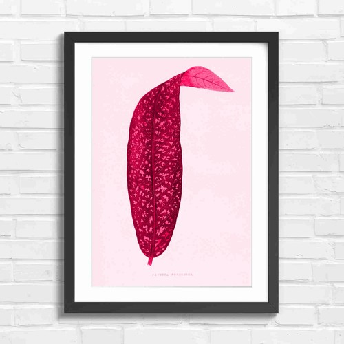 Botanical vintage leaf - botanical,