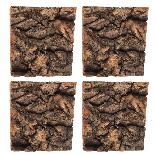 Pcs lizard platform turtle - ,