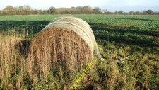 Photo 6x4 Straw bale in