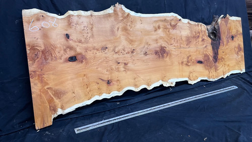 Pippy yew coffee table top - yew,