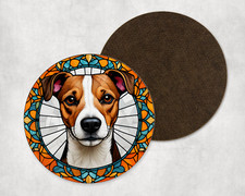 Beautiful Jack Russell Dog