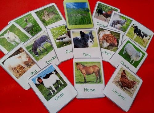 Farm animals flash - animals-16,