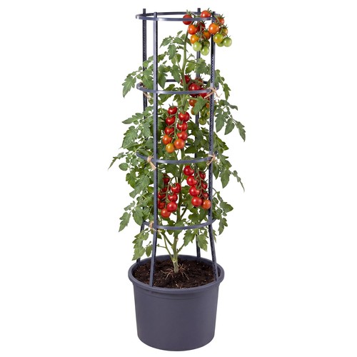 Tier tomato planter pot - 4-tier,