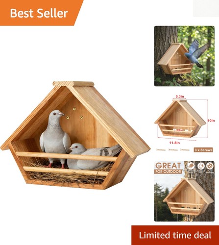 Handcrafted cedar bird house - bird,
